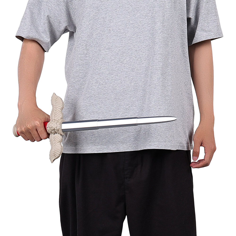 Épées de Laios de déguisement, - Anime Cosplay Sword avis et prix